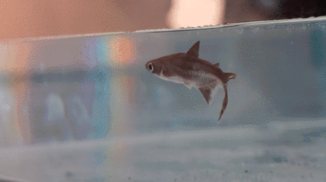 20251219100726106002.jpg 2.jpg