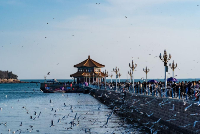 不止看海，更能经略海洋！青岛以深蓝战略铸就现代海洋经济蓝色引擎