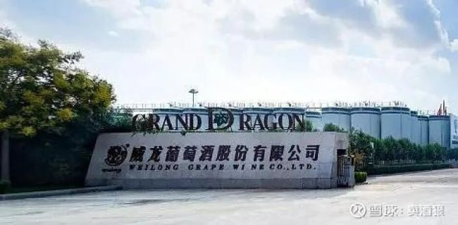 威龙股份控股股东星河息壤增持“爽约”遭罚，实控人涉两项罪名，业绩营收双降