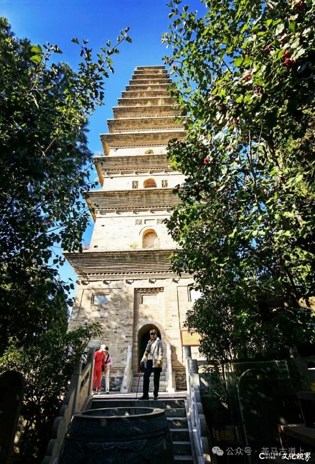 20260104095328502692.jpg 10~1.jpg