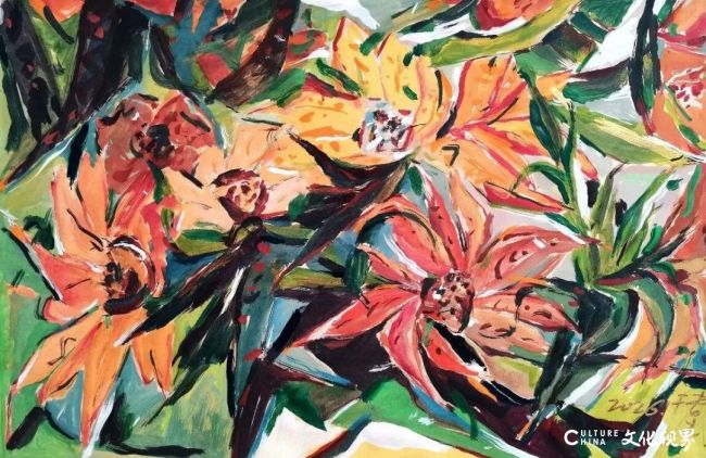 20260110103714480313.jpg 38.jpg