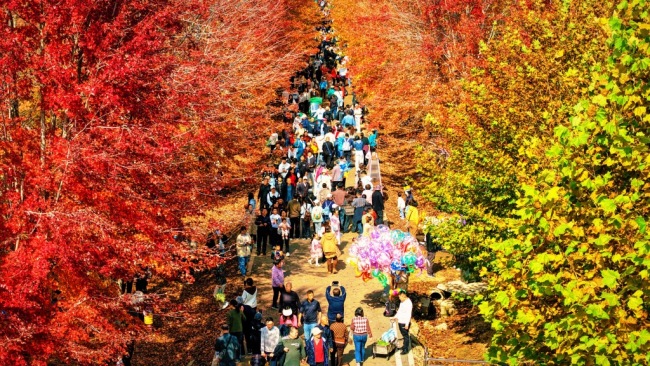 田畴沃野绘新景，和美乡村入画来！青岛西海岸新区全域打造乡村振兴齐鲁样板先行区