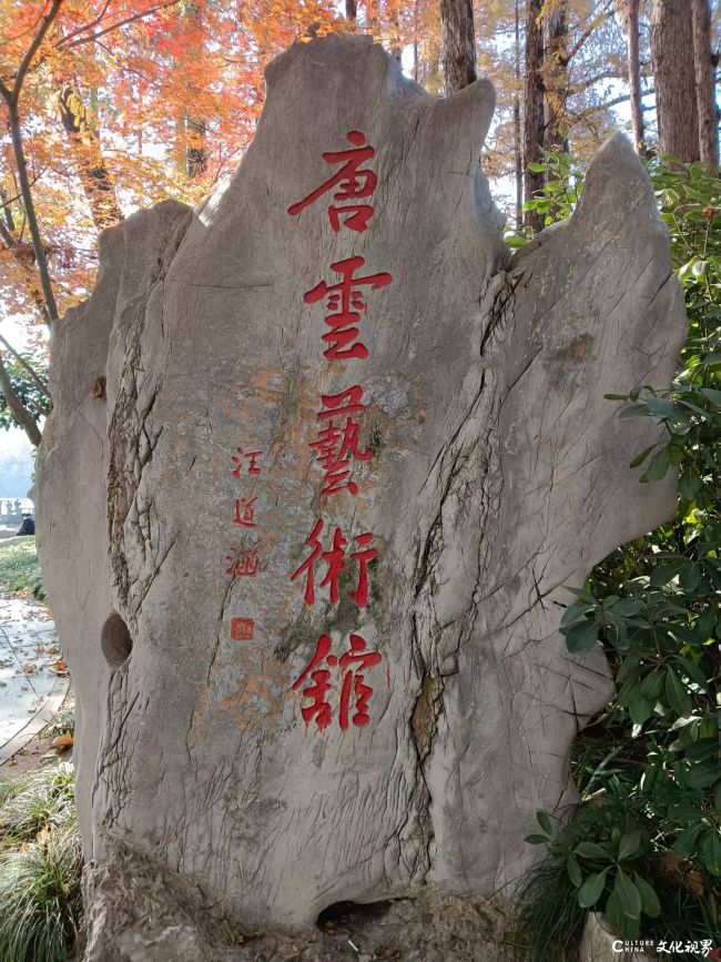 赵景宇｜是真名士自风流——唐云先生艺术漫谈