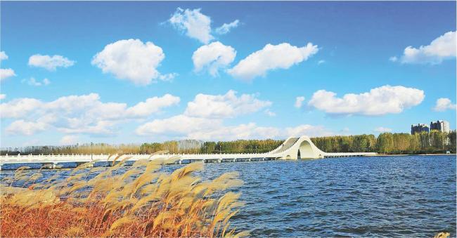 生态环境领域，潍坊交出一份扎实成绩单