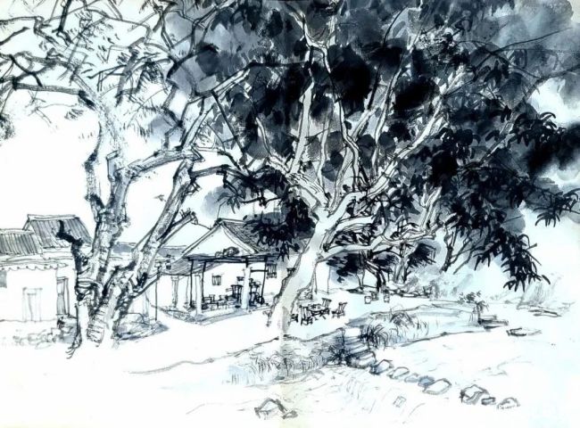 20260119101102769065.jpg 13.jpg