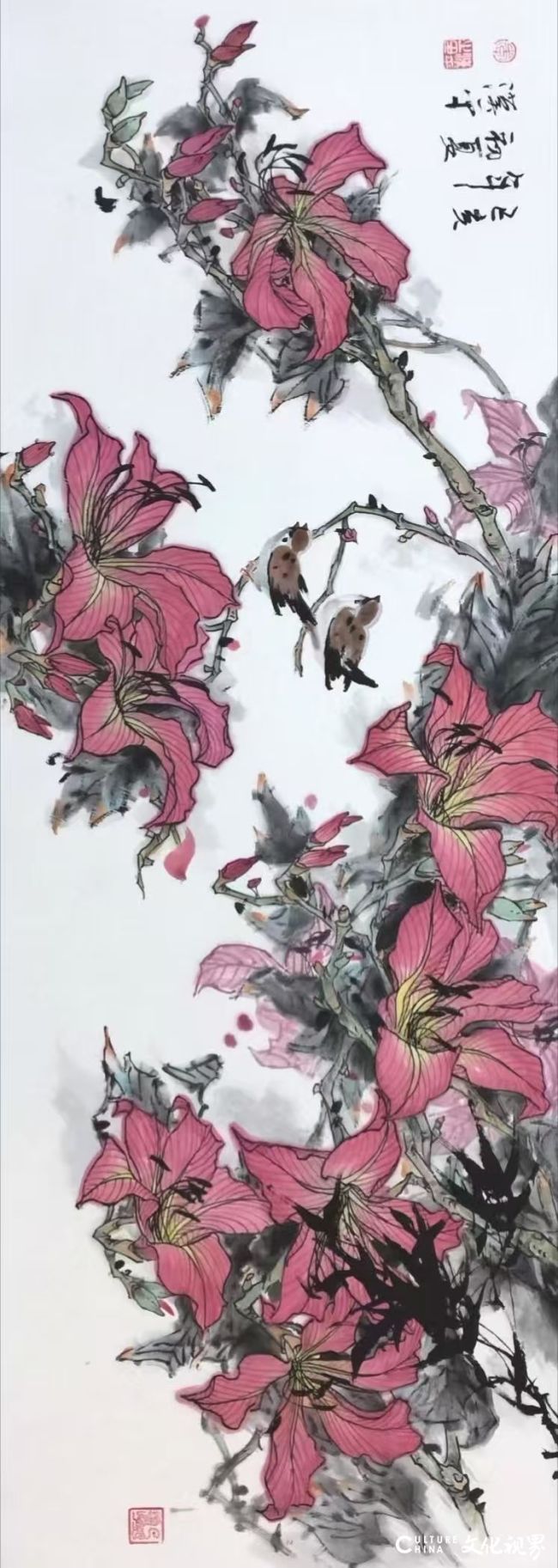 20260120133957984974.jpg c41f727b2bae6897347044d6f5a5357a.jpg