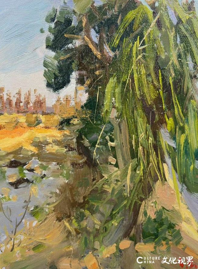 20260123100802647167.jpg 19~1.jpg