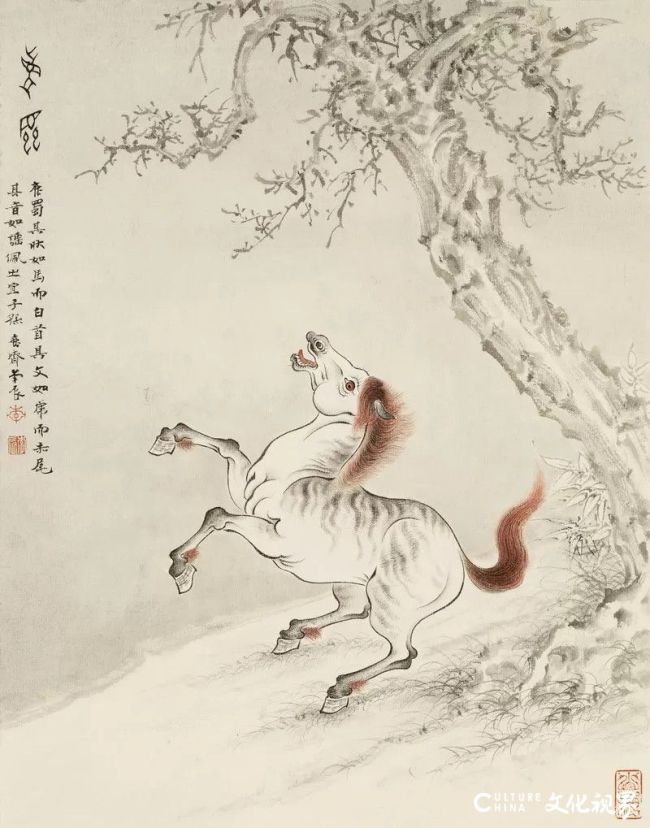 20260210112800762861.jpg 64.jpg