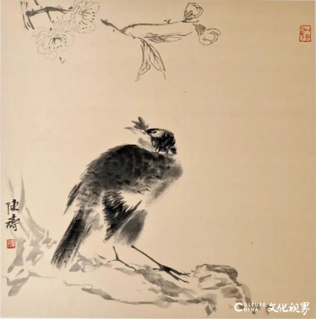 20260213104753933415.jpg 61.jpg