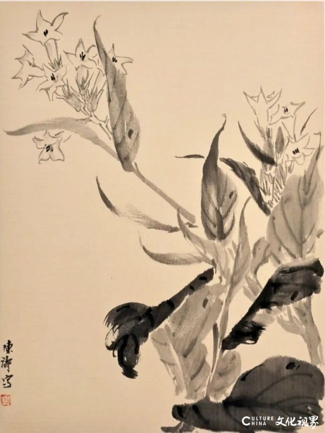 20260213104908584679.jpg 64.jpg