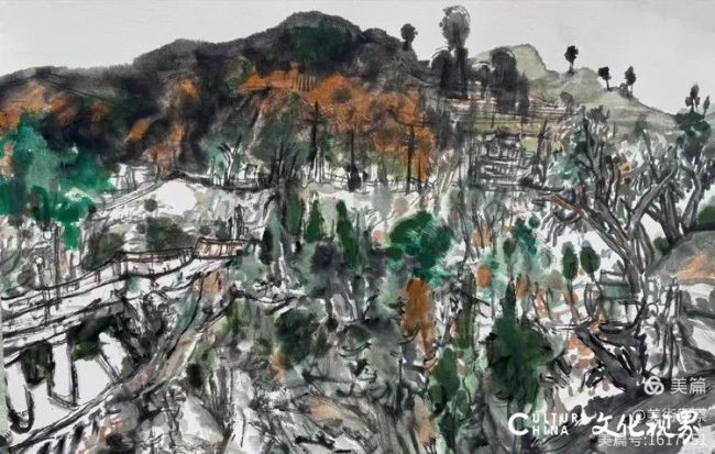 20260213101908777247.jpg 23.jpg