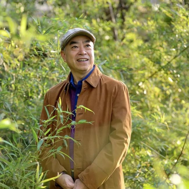 王慧生·新花鸟画 | 石上清凉发“新枝”，工写融合绽新境