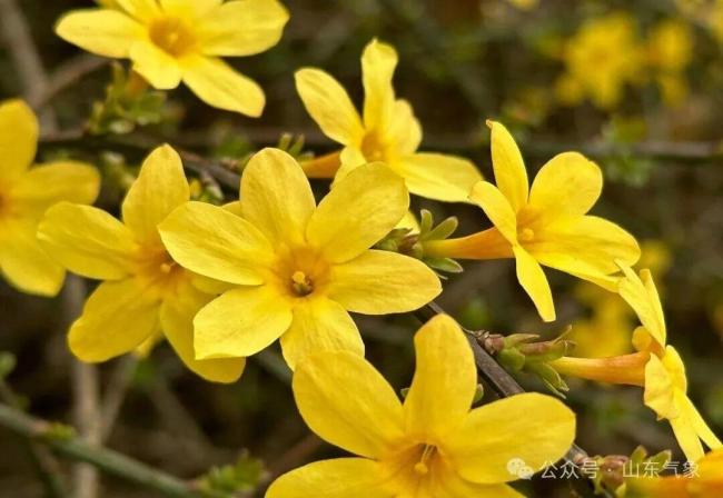 山东连续升温,一波回暖又要登场啦!下周一最高气温13℃