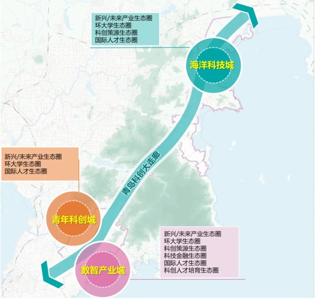 “四个聚焦”划重点——全国两会上，市委书记这样为青岛“发声”