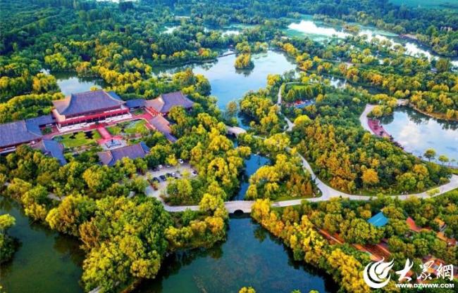 以“绿”执笔，绘就潍坊“宜居颐养”的健康底色