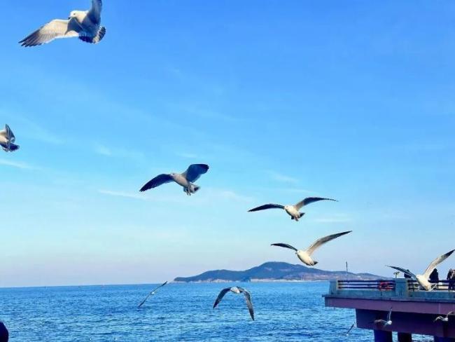 出片率99%!威海春日踏青必去这些地方!