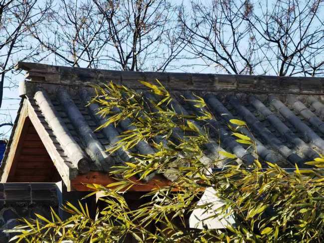 走马江南春——张志元上海大都市圈文化艺术调研行①