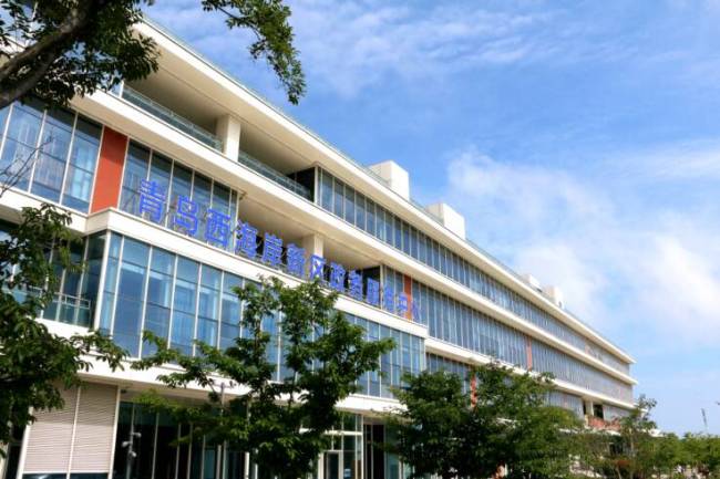 青岛西海岸新区：优化食品经营许可服务 护航“舌尖安全”