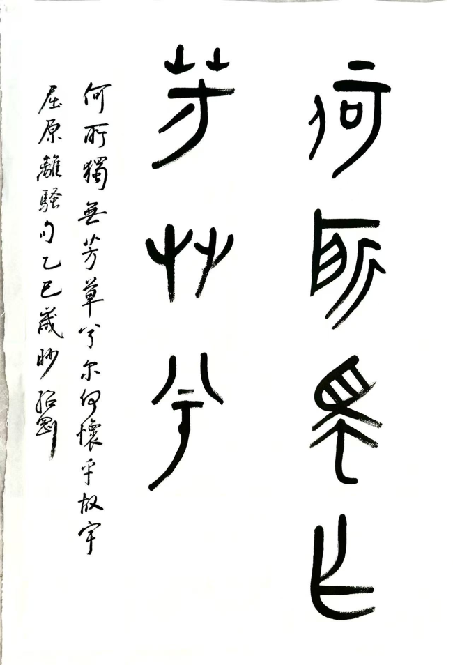 图片25.png