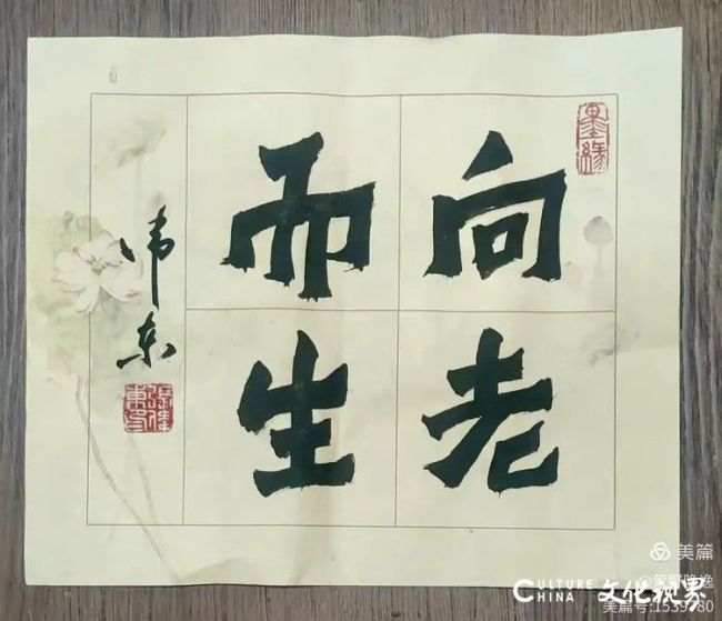 20260330101124625349.jpg 3.3.jpg