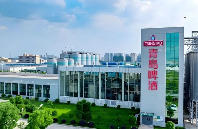 2025财报揭增长真相：高分红之下，青岛啤酒暗藏五大风险？