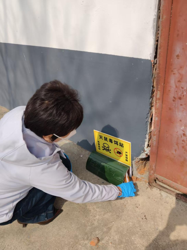 共建健康城镇 共筑健康防线——青岛莱西市日庄镇扎实开展第38个爱国卫生月系列活动