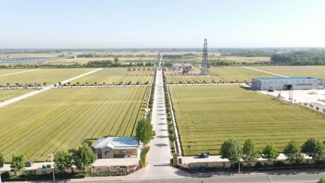 济南商河县农业农村局：实干开局“十五五”奋力书写乡村振兴新答卷