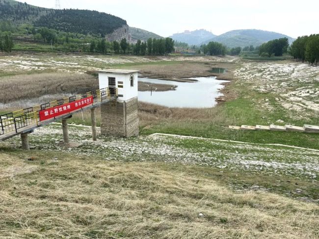 枣庄高新区国土住建局开展野生动物保护与森林防火巡查