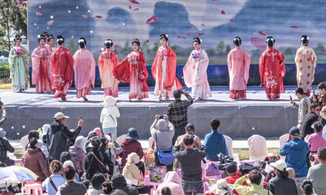 樱花开了，海风醉了！威海荣成喊你来赴一场春天的约会