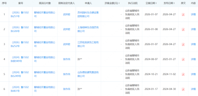 聊城经开置业及法定代表人1天接3条“限高令”，2026年新增被执行金额超千万