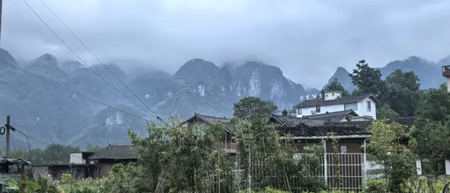 导师党震、杜小同,《中国美术报》“边游边学”即将走进贵州铜仁