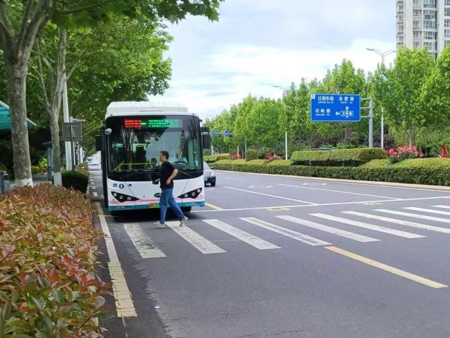 一周获三百条市民好评！青岛城运文明出行绘就城市最美流动风景线