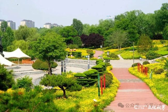一石一故事，一文一传承——丁再献让千年骨刻文在临沂沂南慈善文化广场的奇石上“发声”