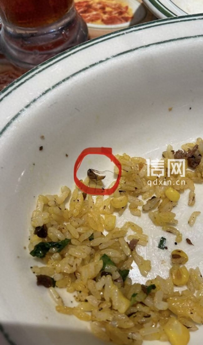 天天3·15 | 文通冰室茶餐厅上海徐汇万科广场店炒饭里吃出死蟑螂，负责人求顾客删差评：“不删扣我500元”