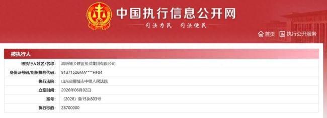 聊城高唐城乡建设投资集团有限公司及子公司成被执行人，执行标的2870万元