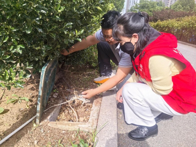 威海市环翠区竹岛街道：党建赋能破治理难题，微处落笔绘民生底色