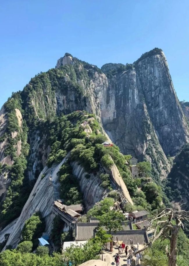 华岳雄姿凝笔底，八尺烟霞绘莲峰——尹沧海华山北峰写生侧记