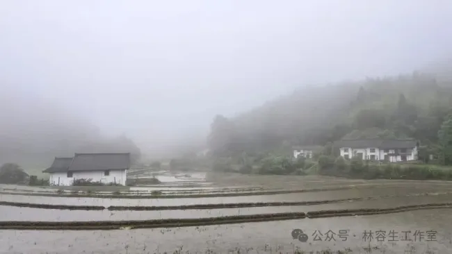 其实它们一直在那里，在留白中等雾散尽——林容生江西赣州崇义县上堡乡写生纪实