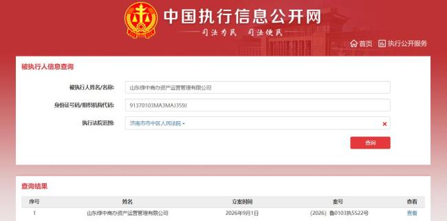 山东绿中商办资产运营管理有限公司成被执行人,执行标的2035.63万元