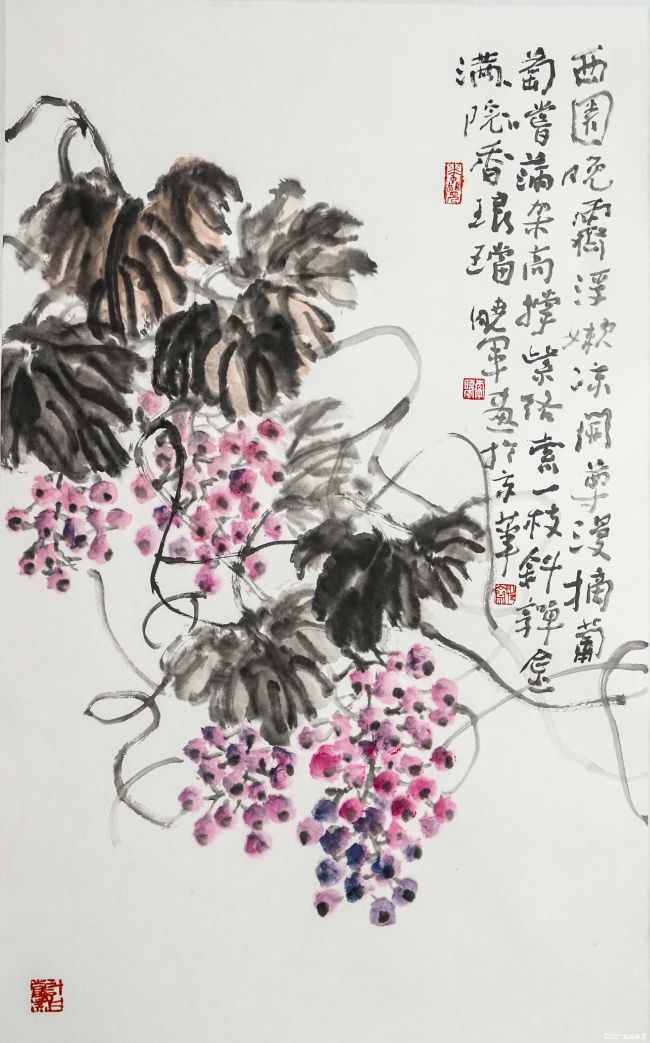 李晓军.JPG