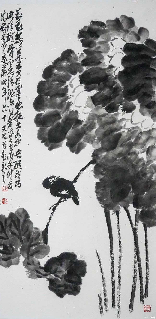 孙成刚.JPG