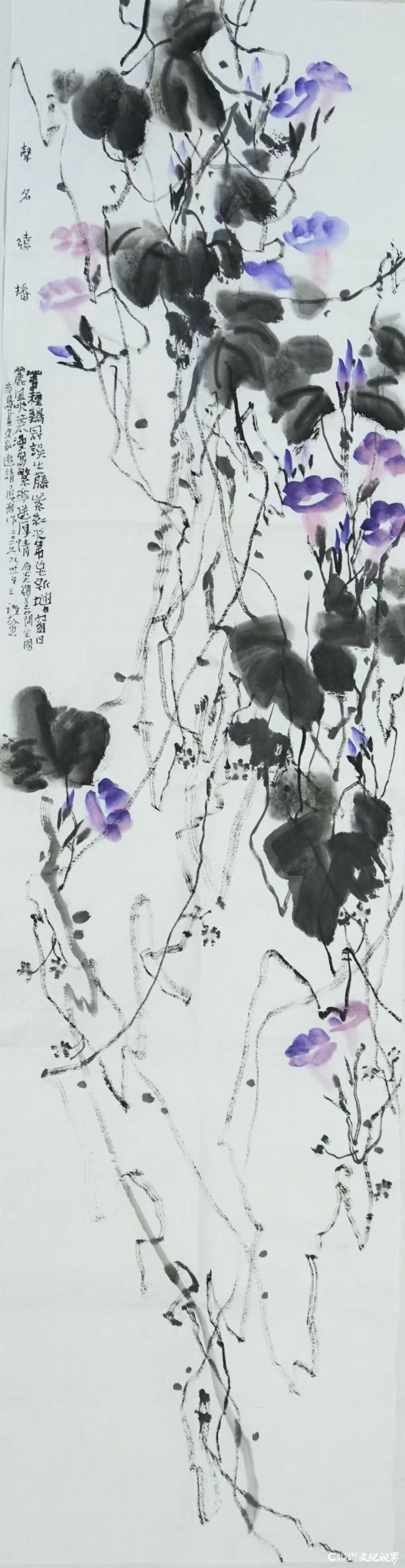 微信图片_20260911091500_3810_2.jpg