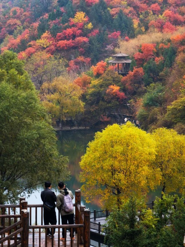 在山野清风里，接住整个秋天的浪漫——中秋国庆来济南九如山尽享多彩秋日盛宴
