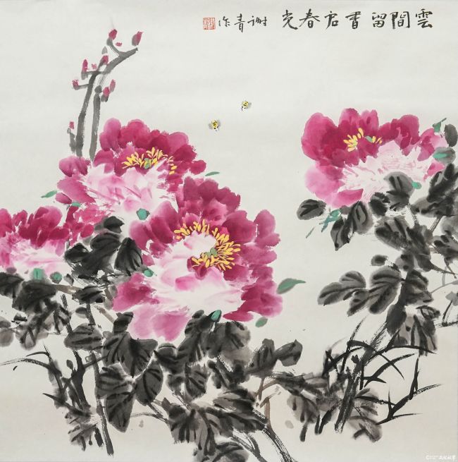 20260910145048153571.jpg 谢青.JPG