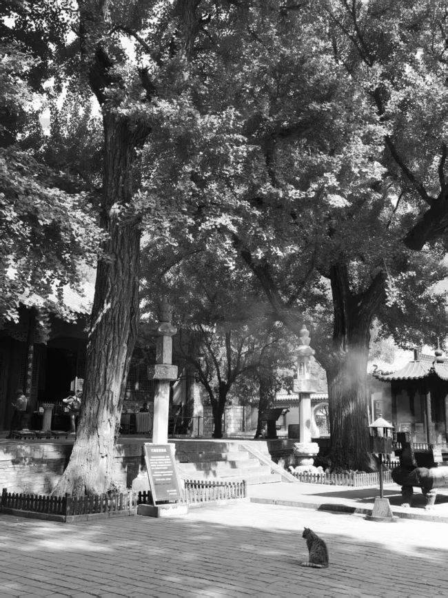 微信图片_20261012110412_13_956.jpg