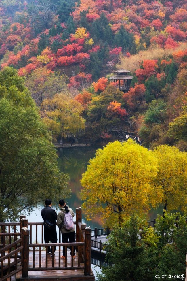 当“红”不让秋正浓——济南九如山如约开启晚秋限定浪漫