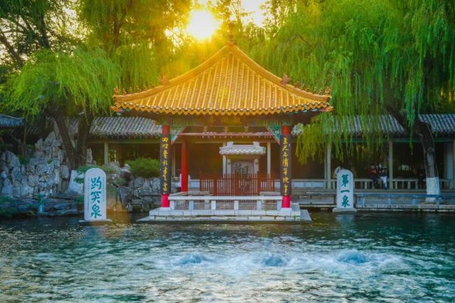 泉涌菊开，济南接住了整个秋天