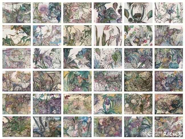 草木深处,见己身——卢贞植物绘画创作自述