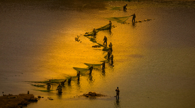 陕西统一战线主题摄影大赛一等奖作品：《湿地渔歌大荔》/作者：高国哲