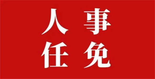 陕西省人民政府网站发布一批人事任免通知